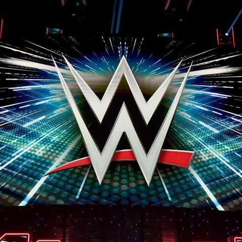 WWE Team