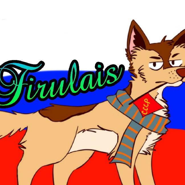 Firulais Team