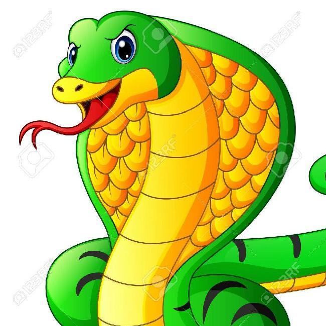 18 Cobra