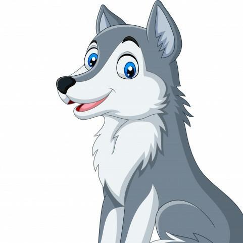 19 Lobo