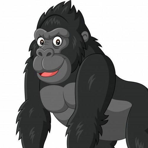 20 Gorilon