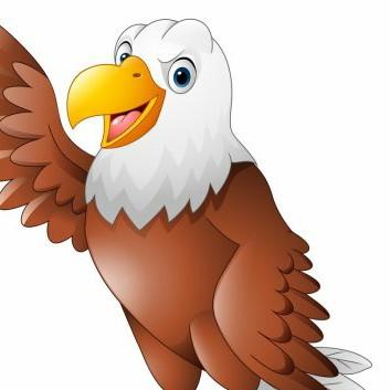 8 Halcon