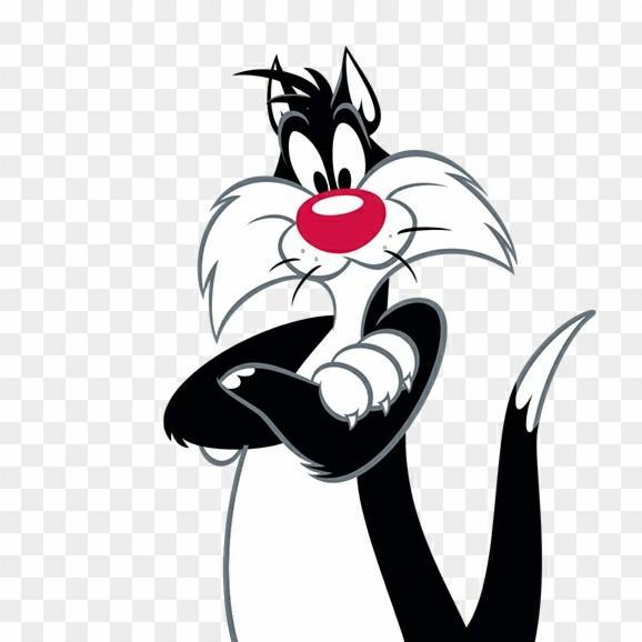 70 Silvestre