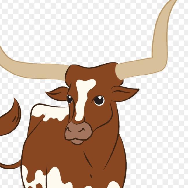 10 Longhorn
