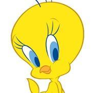 26 Piolin