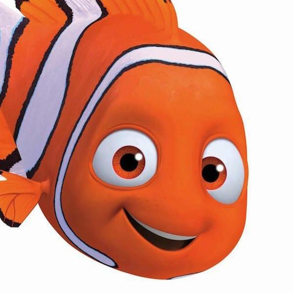6 Nemo