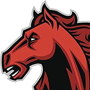 9 Mustang