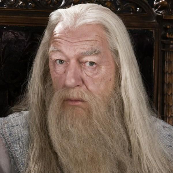 23 Dumbledore