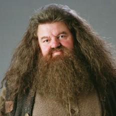 9 Hagrid