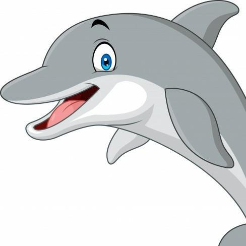 55 Delfino