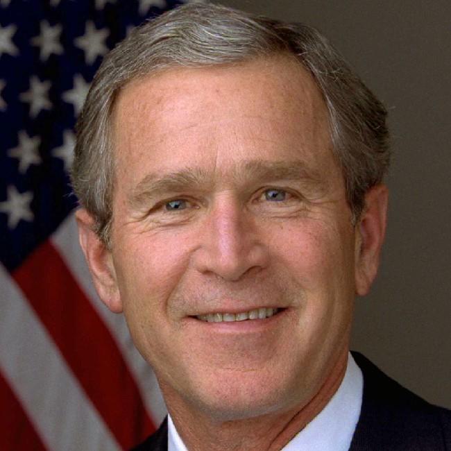 15 Bush