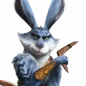 5 Bunny