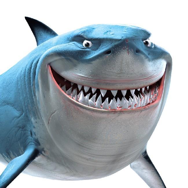 8 Bruce