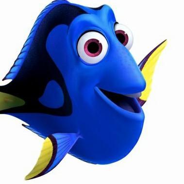 20 Dory