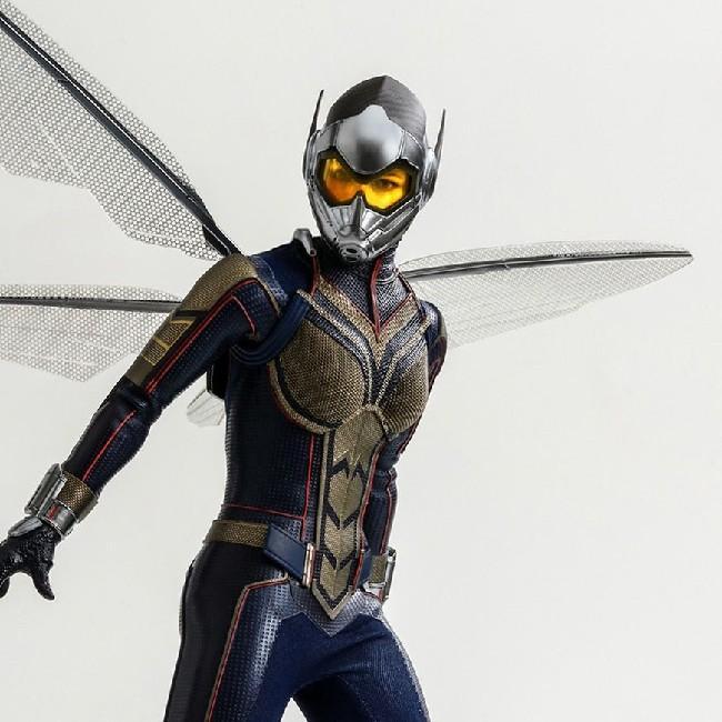 13 Wasp