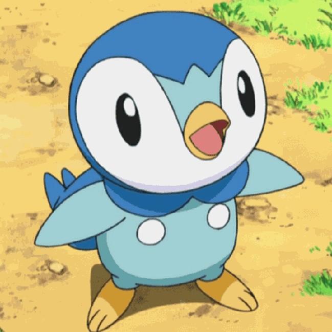 5 piplup