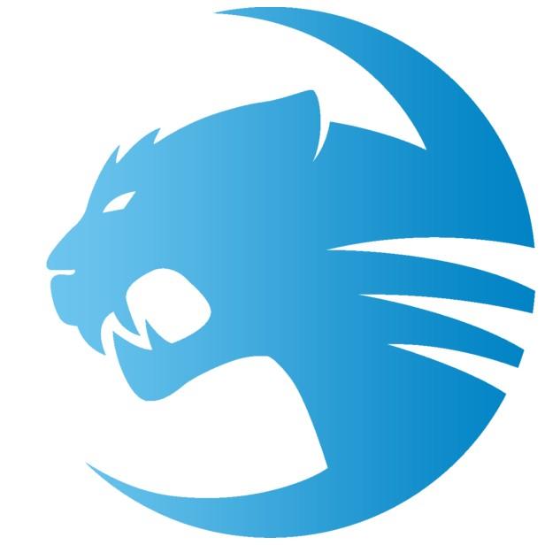 Team ROCCAT