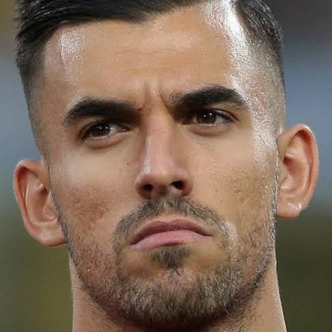 Dani caballos