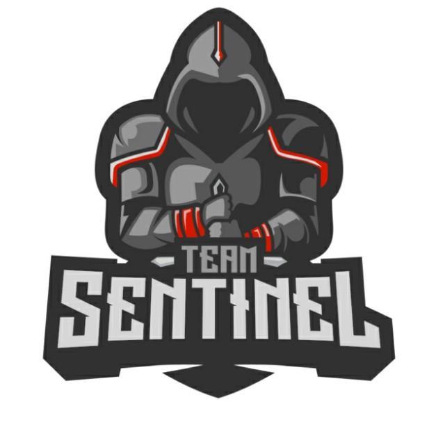 Team Sentinel
