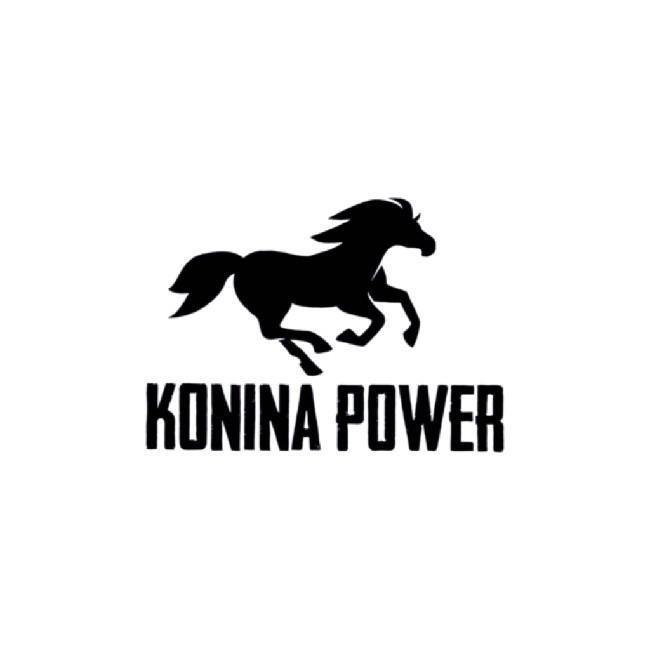 🇰🇿 KoninaPower