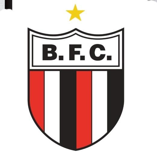 Botafogo-SP