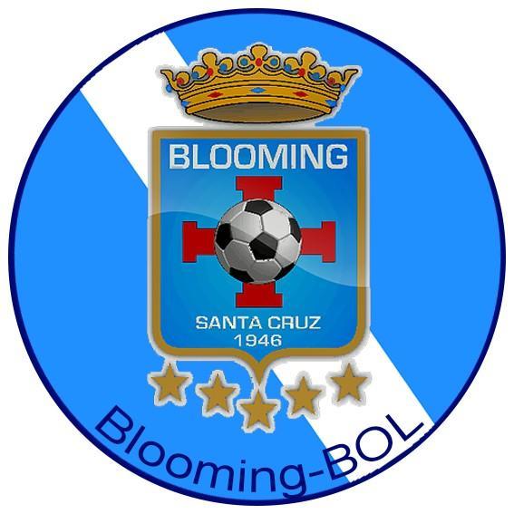 🇧🇴🇧🇴O Campeonato Boliviano - Blog Um Grande Escudeiro