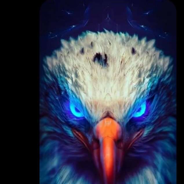 Falcon
