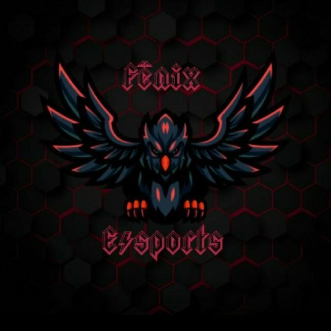 FÊNIX E-SPORTS