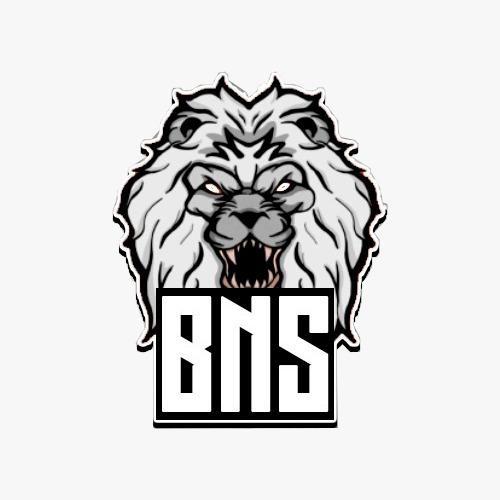 BRASIL NOTORIAN SHOW - LINE UNDERDOGS