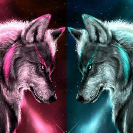 YOUNG WOLVES