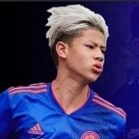 Vitor lo