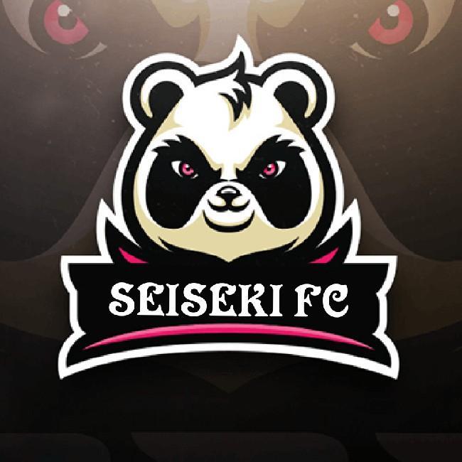 SEISEKI FC