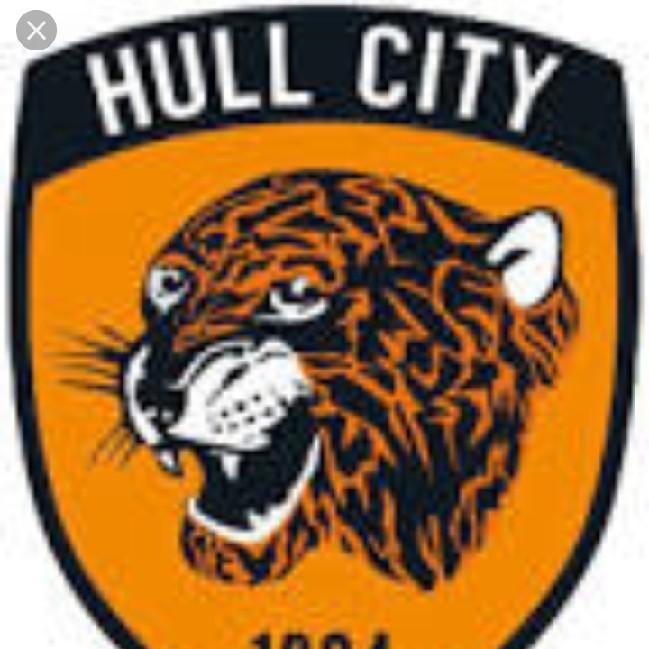 Hull city