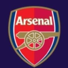 AEM•|ARSENAL™