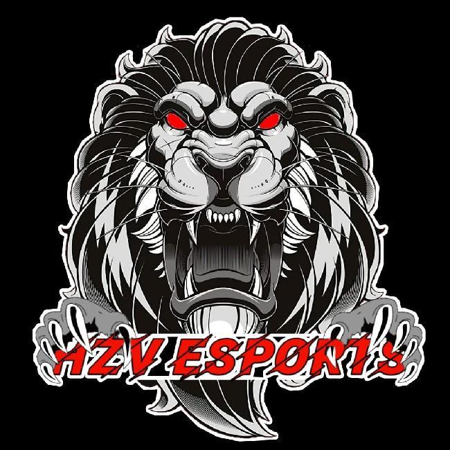 HZV•BLITAR FC