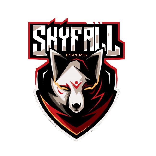 SKYFALL E-SPORTS