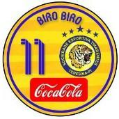 11 Biro Biro