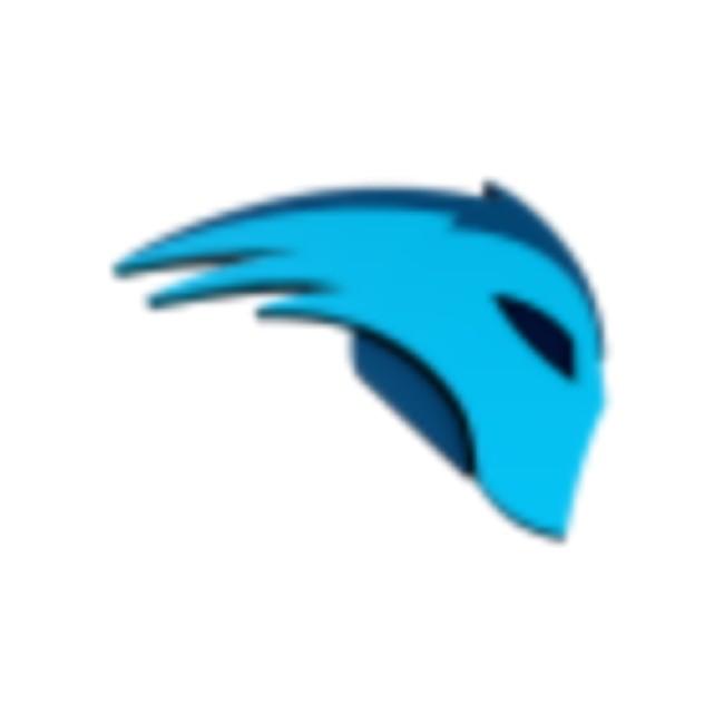 Movistar Riders