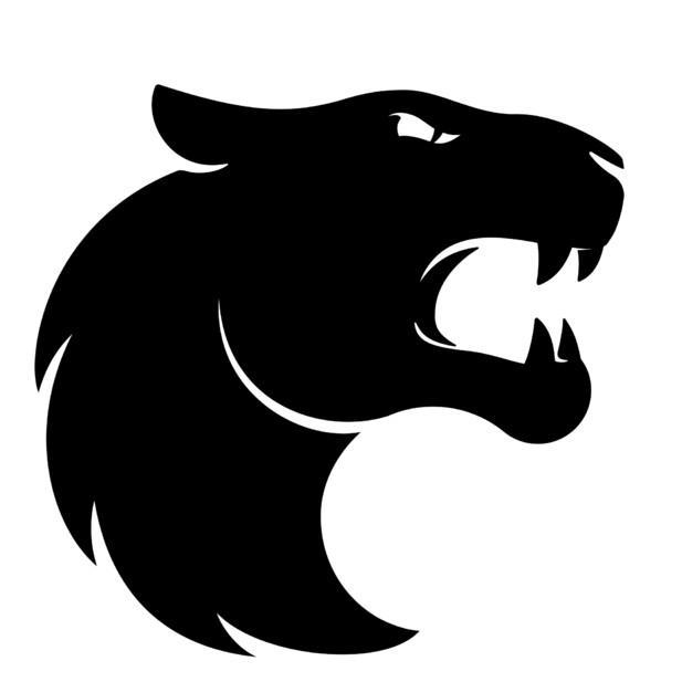 FURIA Esports