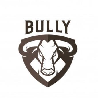 Bully Jacket