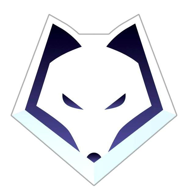 Winterfox 🇺🇸