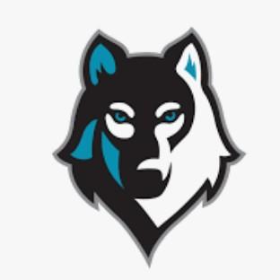 Molde Wolvers