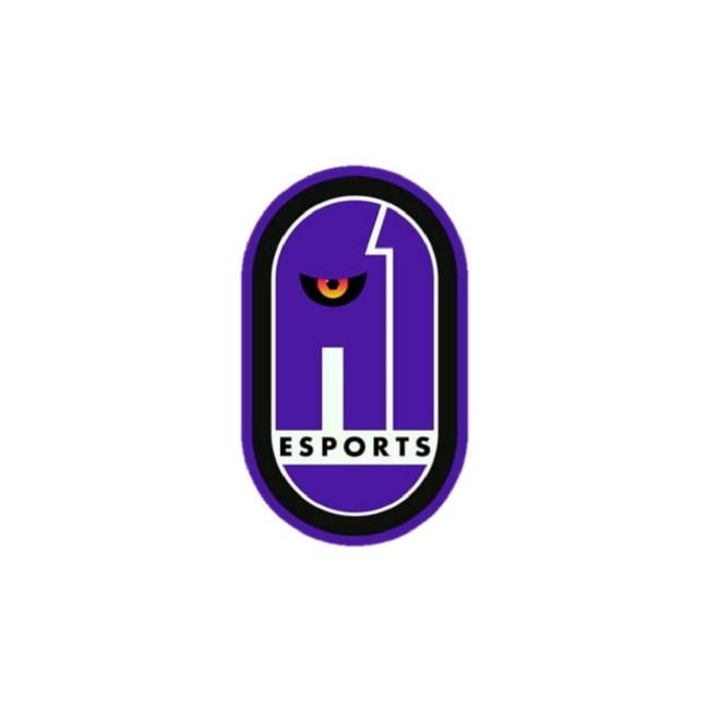 🇧🇩 A1 Esports