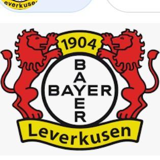 bayarn leverkusen