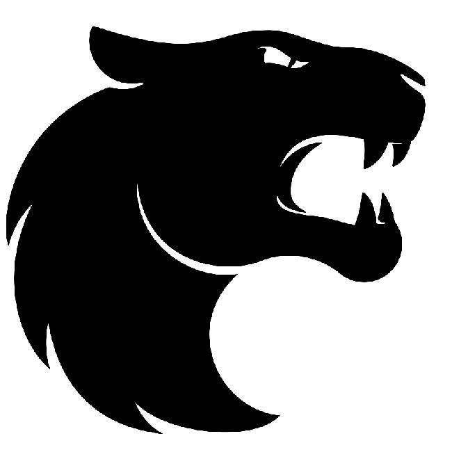 Furia