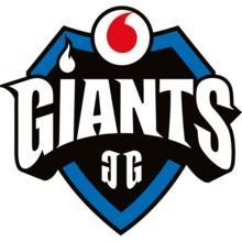 Vodafone Giants