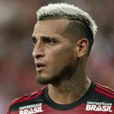 TRAUCO