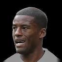 G. Wijnaldum