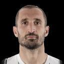 G. Chiellini