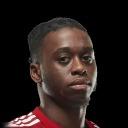 A. Wan-Bissaka